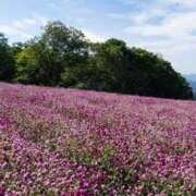 ヒメ日記 2025/08/19 20:33 投稿 さりゅ Hills Premier