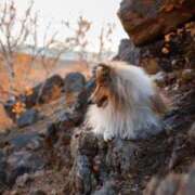 ヒメ日記 2025/08/21 17:35 投稿 さりゅ Hills Premier