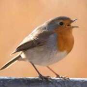 ヒメ日記 2025/08/22 22:23 投稿 さりゅ Hills Premier