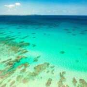 ヒメ日記 2025/09/02 23:03 投稿 さりゅ Hills Premier