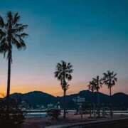 ヒメ日記 2025/09/16 21:33 投稿 さりゅ Hills Premier