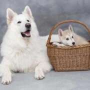 ヒメ日記 2025/09/17 19:43 投稿 さりゅ Hills Premier