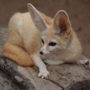 ヒメ日記 2025/09/18 21:33 投稿 さりゅ Hills Premier