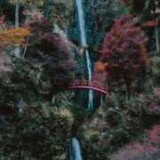 ヒメ日記 2025/09/19 22:33 投稿 さりゅ Hills Premier