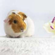 ヒメ日記 2025/09/23 22:39 投稿 さりゅ Hills Premier