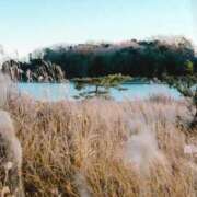 ヒメ日記 2025/09/29 21:20 投稿 さりゅ Hills Premier