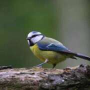 ヒメ日記 2025/11/12 22:13 投稿 さりゅ Hills Premier