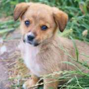 ヒメ日記 2025/12/04 14:33 投稿 さりゅ Hills Premier