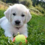 さりゅ 出勤ッッ❣️😆👐 Hills Premier