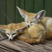 さりゅ 出勤したよ❣️😁🙌︎💕︎ Hills Premier