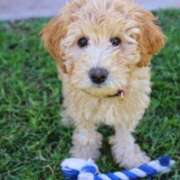 さりゅ 出勤っ❣️🤠🫶 Hills Premier