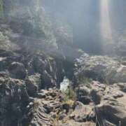 ヒメ日記 2024/12/31 18:20 投稿 まゆき Hills Premier