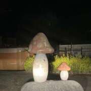 ヒメ日記 2025/03/24 12:48 投稿 まゆき Hills Premier