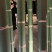 ヒメ日記 2025/05/24 12:24 投稿 まゆき Hills Premier