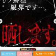 ヒメ日記 2025/06/13 00:20 投稿 まゆき Hills Premier