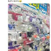 ヒメ日記 2025/06/28 09:41 投稿 まゆき Hills Premier