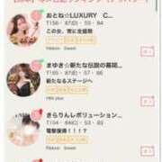 ヒメ日記 2025/08/19 12:43 投稿 まゆき Hills Premier