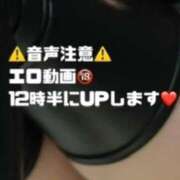 ヒメ日記 2025/11/14 12:04 投稿 まゆき Hills Premier