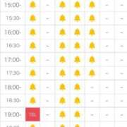 ヒメ日記 2025/11/23 08:13 投稿 まゆき Hills Premier