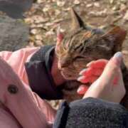 ヒメ日記 2026/02/21 12:43 投稿 まゆき Hills Premier