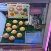 ヒメ日記 2026/05/20 16:03 投稿 まゆき Hills Premier