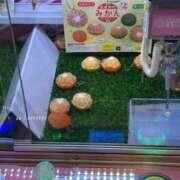 ヒメ日記 2026/05/28 12:53 投稿 まゆき Hills Premier