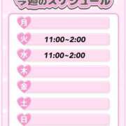 ヒメ日記 2025/04/08 12:08 投稿 せいか Hills Premier