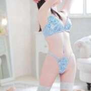 ヒメ日記 2025/11/15 17:13 投稿 せいか Hills Premier