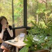 ヒメ日記 2025/11/19 03:04 投稿 花垣 美奈 ティアリズム代官山