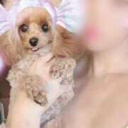 ヒメ日記 2025/02/16 00:27 投稿 音海 姫奈 ティアリズム代官山