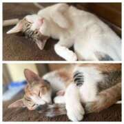 ヒメ日記 2024/12/14 16:57 投稿 もえ 横浜ひよこ倶楽部