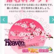 ヒメ日記 2025/03/27 10:39 投稿 もえ 横浜ひよこ倶楽部