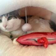 ヒメ日記 2025/04/06 15:06 投稿 もえ 横浜ひよこ倶楽部