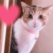 ヒメ日記 2025/04/07 08:26 投稿 もえ 横浜ひよこ倶楽部