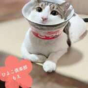 ヒメ日記 2025/04/19 09:06 投稿 もえ 横浜ひよこ倶楽部