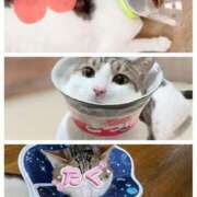 ヒメ日記 2025/04/20 23:06 投稿 もえ 横浜ひよこ倶楽部