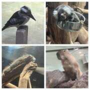 ヒメ日記 2025/05/05 18:56 投稿 もえ 横浜ひよこ倶楽部