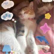 ヒメ日記 2025/05/22 14:16 投稿 もえ 横浜ひよこ倶楽部