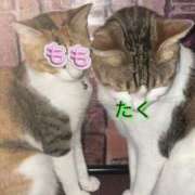 ヒメ日記 2025/06/18 21:36 投稿 もえ 横浜ひよこ倶楽部