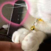 ヒメ日記 2025/06/28 10:26 投稿 もえ 横浜ひよこ倶楽部