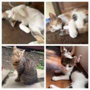 ヒメ日記 2025/06/30 14:06 投稿 もえ 横浜ひよこ倶楽部