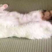 ヒメ日記 2025/07/07 15:46 投稿 もえ 横浜ひよこ倶楽部