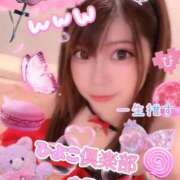 ヒメ日記 2025/10/24 13:06 投稿 もえ 横浜ひよこ倶楽部