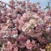 ヒメ日記 2025/03/14 08:16 投稿 りり 秋葉原コスプレ学園in西川口