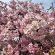 ヒメ日記 2025/03/23 08:32 投稿 りり 秋葉原コスプレ学園in西川口