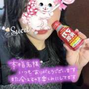 ヒメ日記 2025/01/26 17:09 投稿 ひかり ママれもん葛西店