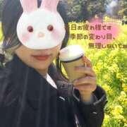 ヒメ日記 2025/03/17 17:30 投稿 ひかり ママれもん葛西店