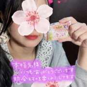 ヒメ日記 2025/04/05 23:31 投稿 ひかり ママれもん葛西店