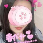 ヒメ日記 2025/04/11 18:40 投稿 ひかり ママれもん葛西店