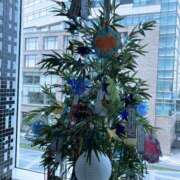 ヒメ日記 2025/07/07 23:38 投稿 ひかり ママれもん葛西店